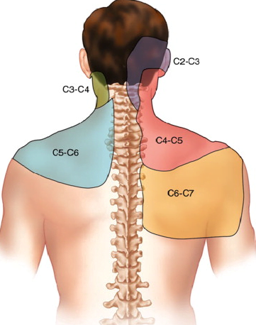 Why Does My Shoulder Hurt When I Lift My Arm? - Arkansas Surgical Hospital